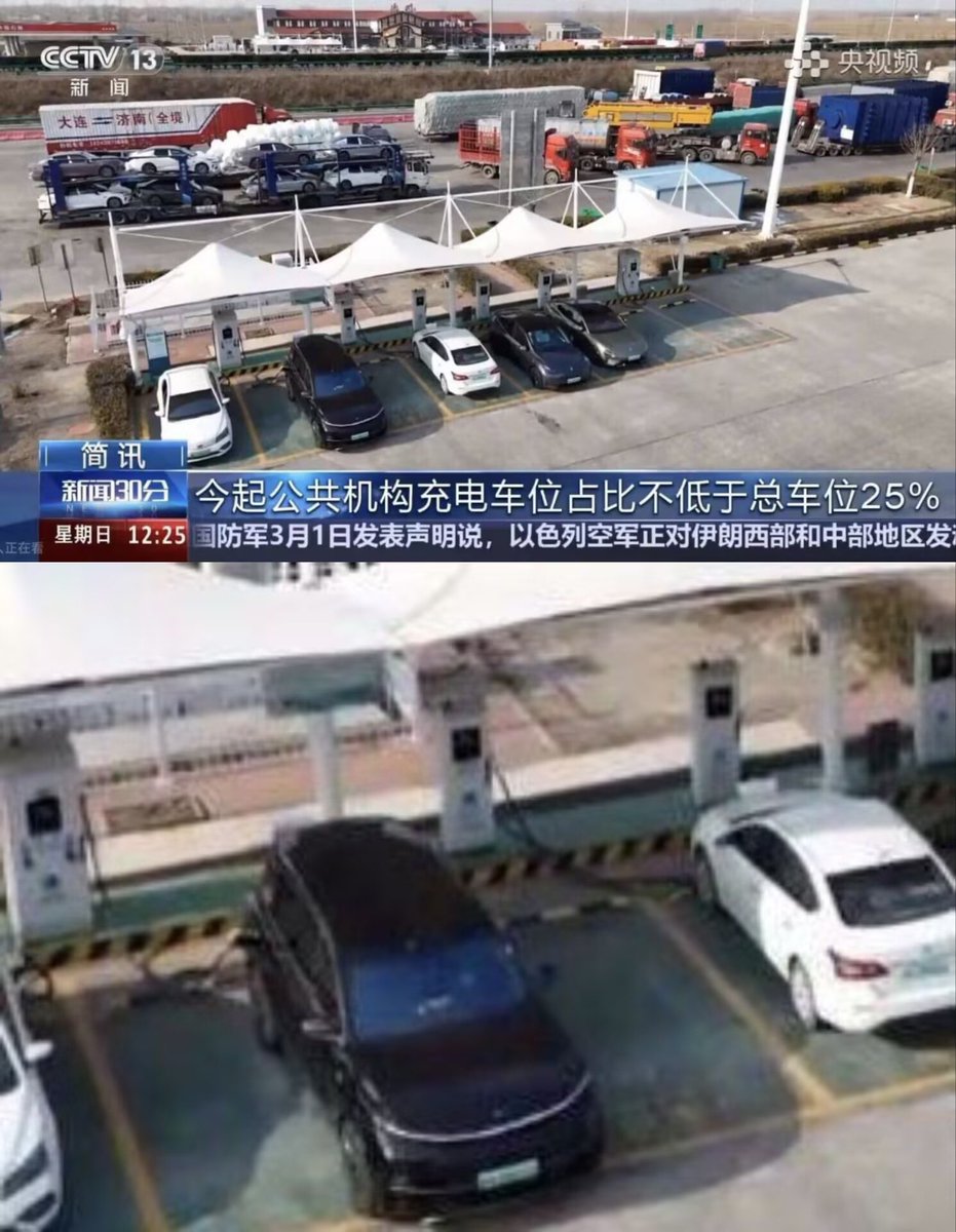 禿道道🐟 tweet media