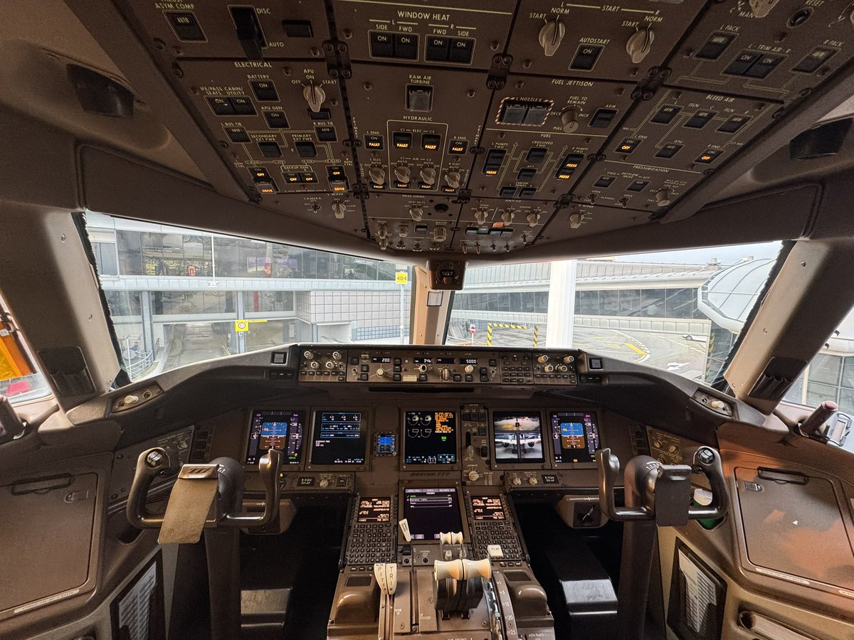 88888Human tweet media