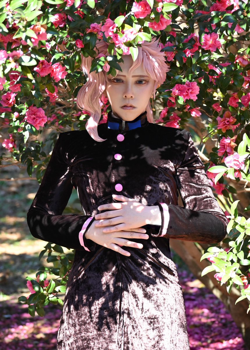 kirakirabusii's tweet photo. cos/JJBA

花は咲いて
種を遺す

photos/麦 https://t.co/bzh5JNlGRD