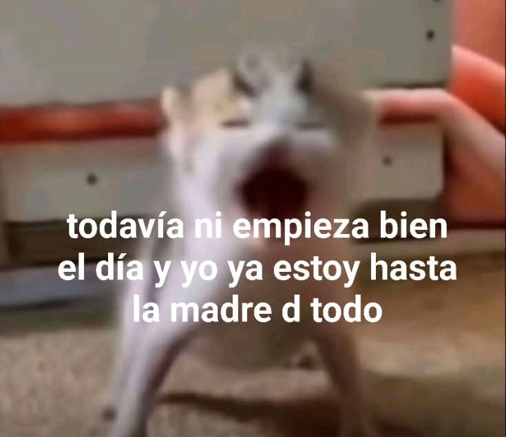 En Júpiter (@en_jupiter_) on Twitter photo 