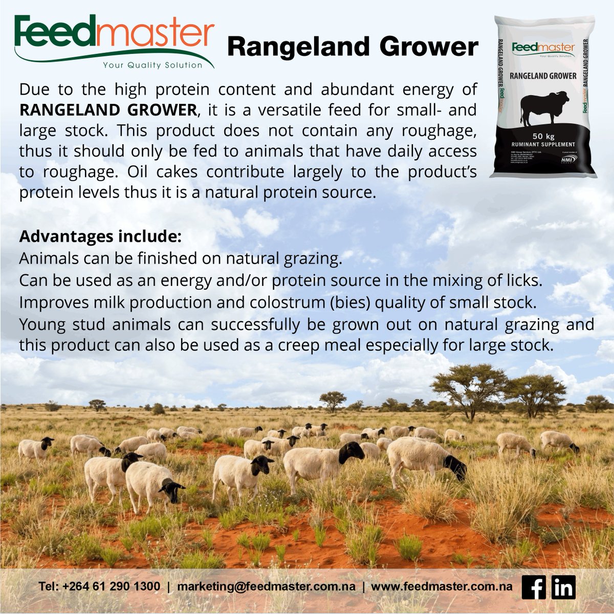 NewEraNewspaper's tweet photo. Ad|
Feedmaster Rangeland Grower provides a high-energy, high-protein supplement derived from quality oilcakes, supporting efficient growth in small and large stock. https://t.co/MgezFF64OX
#Feedmaster #RangelandFarming #FarmProfit https://t.co/Q0cCxluzQ9