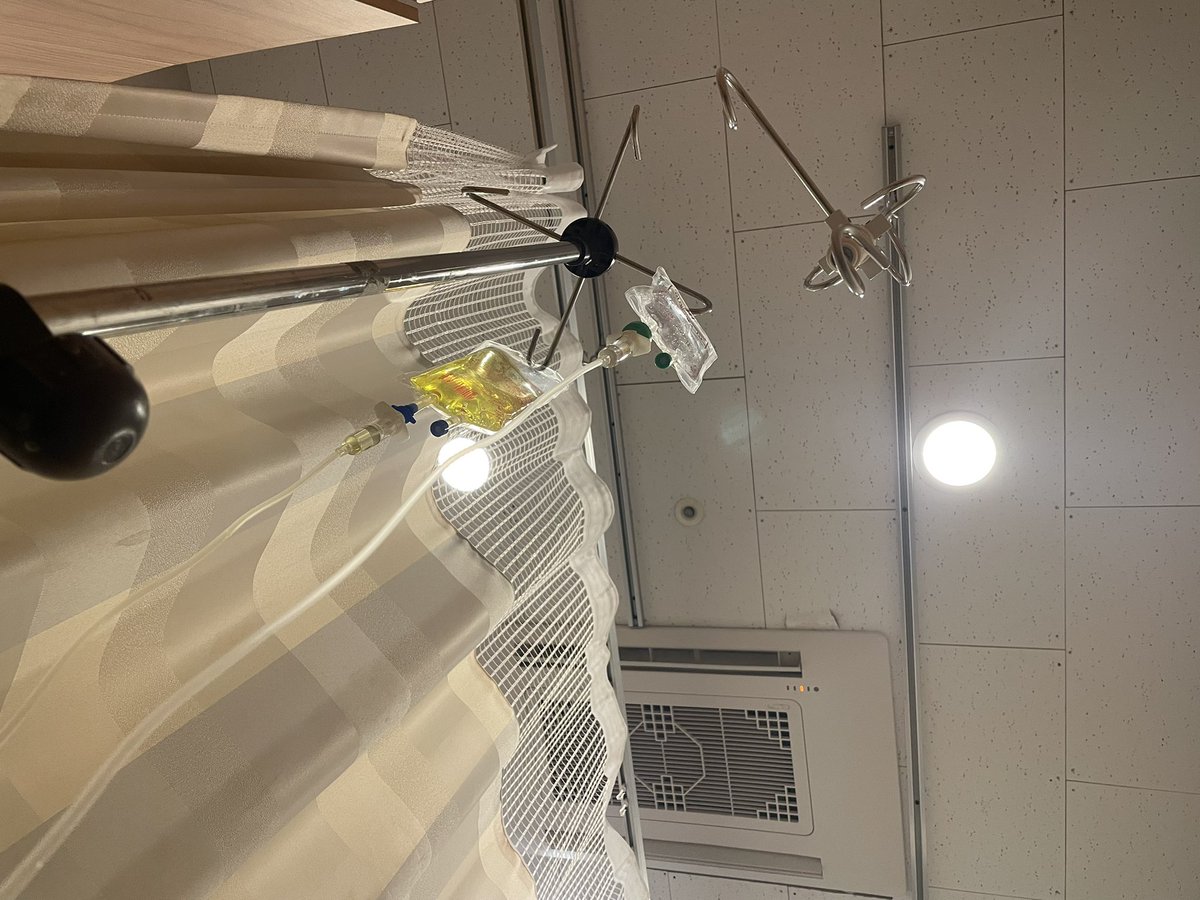 Elsprada tweet media