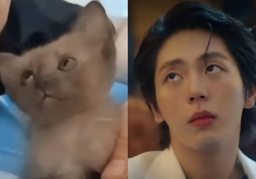 Shine-sun tweet media