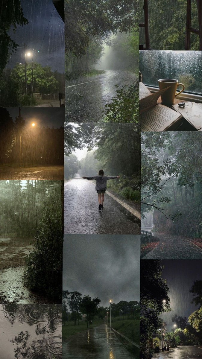 spooky_nature's tweet photo. what my soul craves… https://t.co/fXzFcOLADy