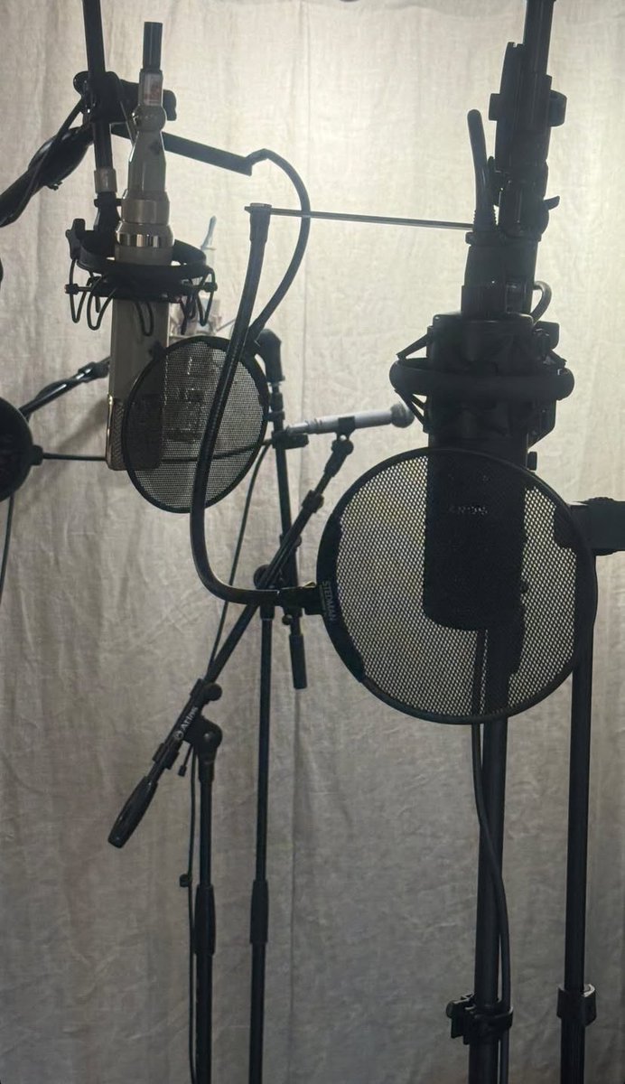 Info Caroline Polachek tweet media