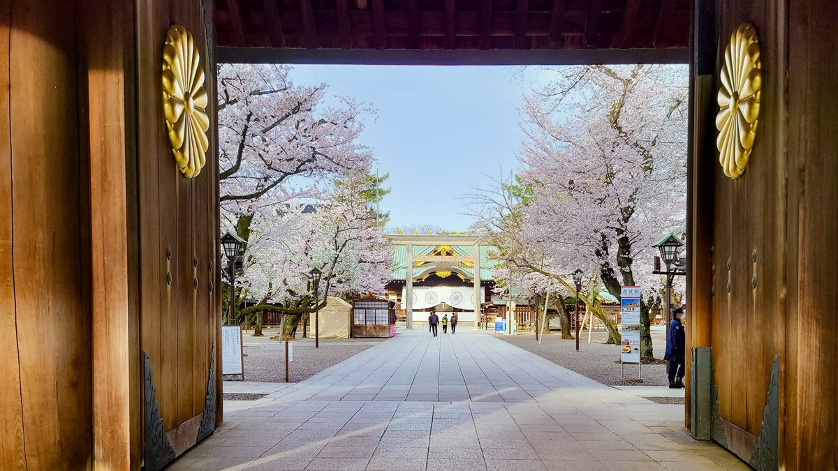event_checker's tweet photo. 靖国神社で春の特別参拝「夜桜詣」開催。

3/26(木)-31(火)の夜、神門が特別に開放され、ライトアップされた桜と社殿の幻想的な景色を楽しめます。

外苑には期間限定のキッチンカーも出店。
→https://t.co/yJ0aPM5eef https://t.co/R0q57KopIR