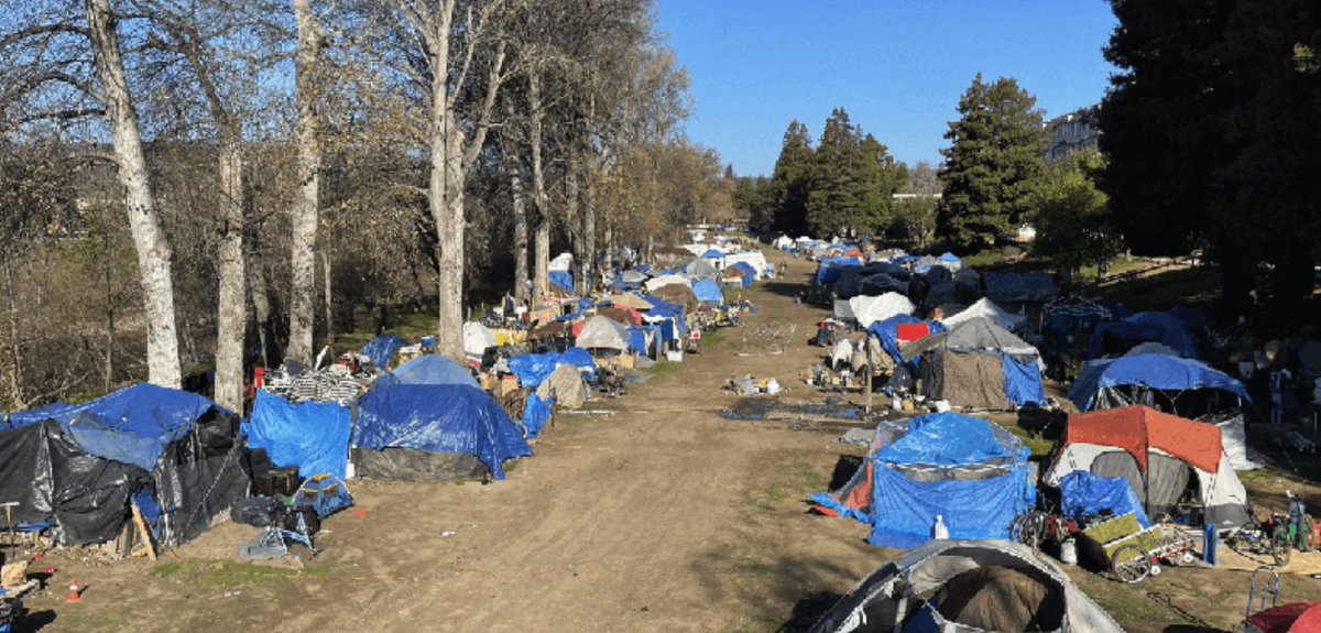 One Nation tweet media