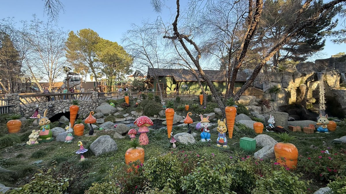 ParksAndCons's tweet image. So many bunnies in Camp Snoopy this #BoysenberryFestival