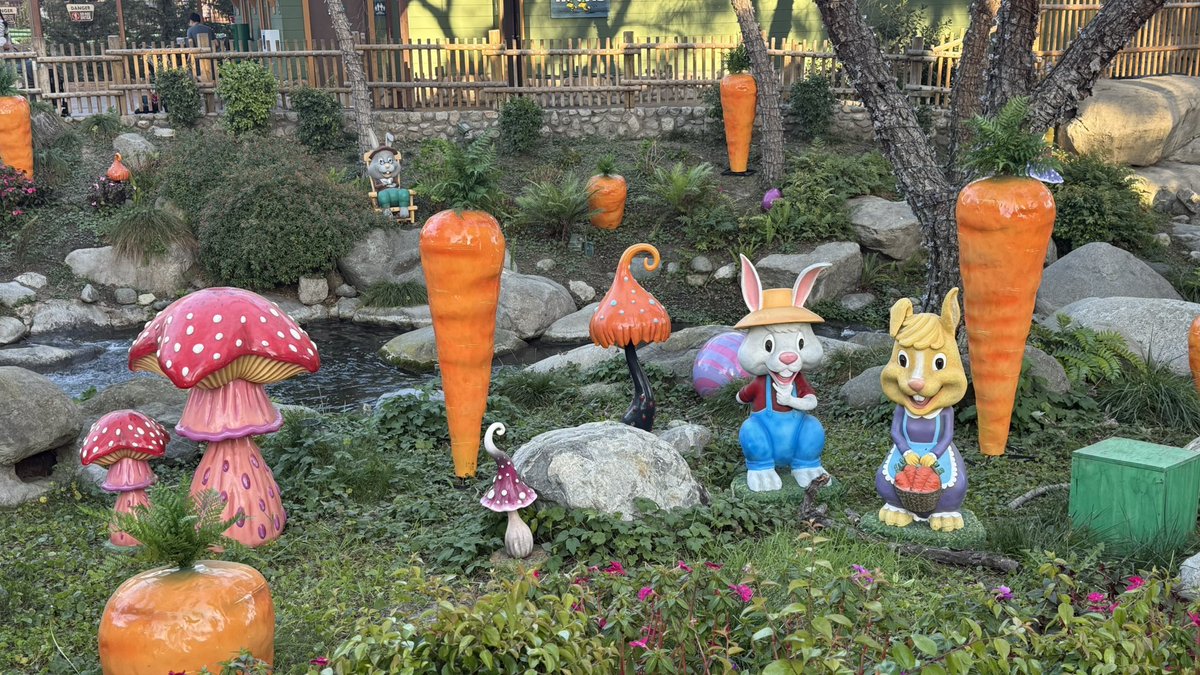 ParksAndCons's tweet image. So many bunnies in Camp Snoopy this #BoysenberryFestival