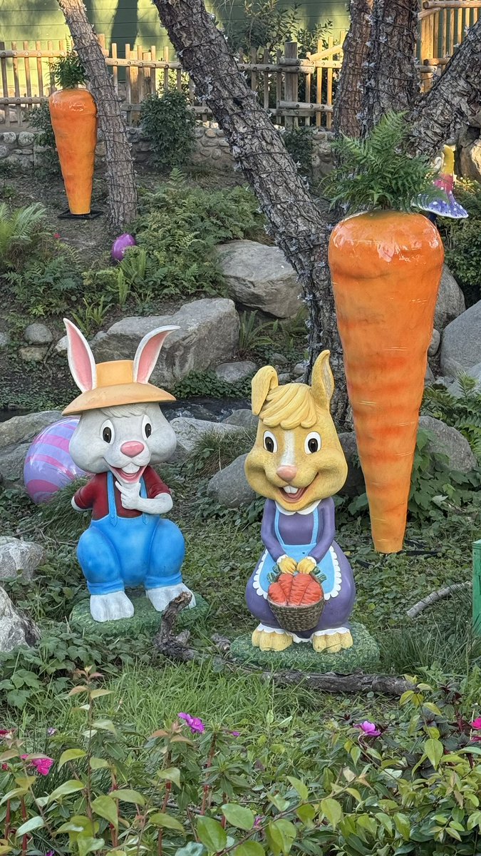 ParksAndCons's tweet image. So many bunnies in Camp Snoopy this #BoysenberryFestival