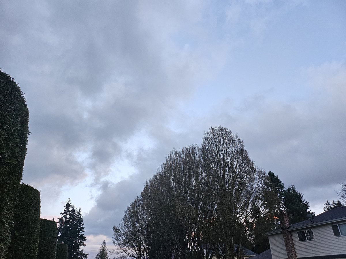 foremostslug's tweet photo. Taking evening walks trying to come up with art inspiration. I can't force it, but I haven't drawn or written anything worth showing in too long. https://t.co/ykmPZNVrLC