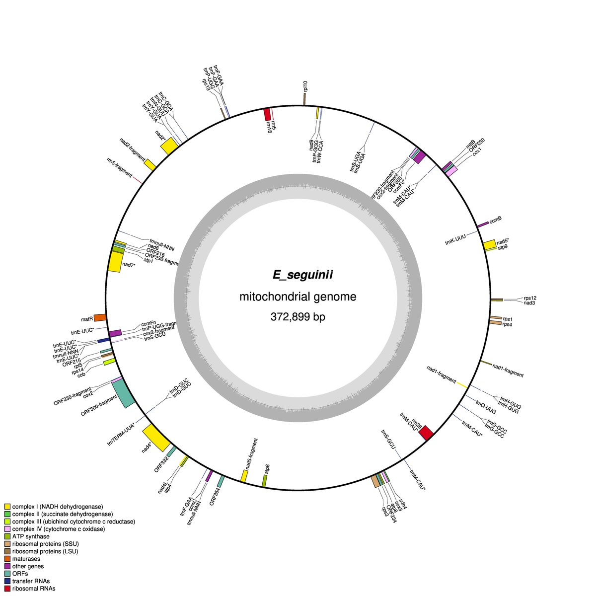 Azam_fms's tweet photo. We assembled the mitochondrial genome of Eriobotrya seguinii (Rosaceae).
Highlights:
🧬 372,899 bp; GC 46%
 🔬 71 genes
 📊 High-Pi variable regions
 🌳 Phylogeny supports Eriobotrya monophyly
New insight into Rosaceae mitogenome evolution.
Full article: https://t.co/XV7GUPWjGE https://t.co/5HKZgYxhoL
