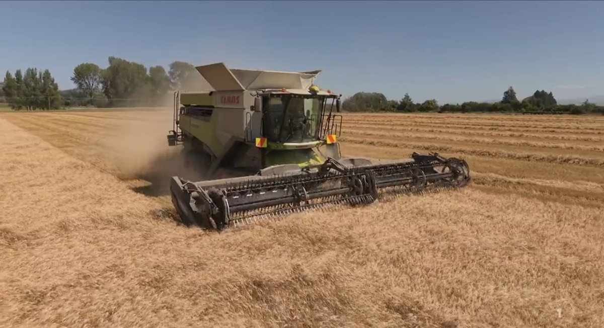 Foundation for Arable Research (NZ) tweet media