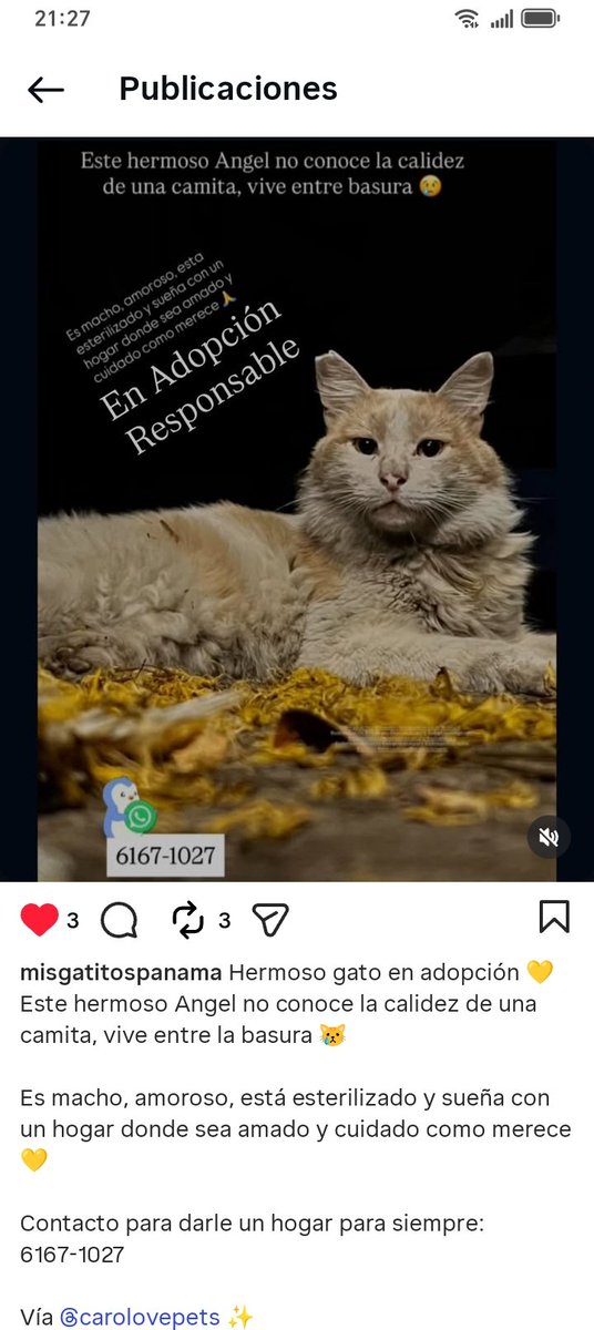 Nacelys González tweet media