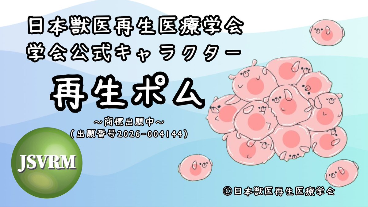 jsvrm_org's tweet photo. ついに公開✨
日本獣医再生医療学会(JSVRM)
公式キャラクター
「再生ポム」が誕生しました！
2025年の記念年次大会で発表して以来、
しばらく沈黙していましたが…
このたび正式にお披露目です！
今後はLINEスタンプなども計画中です😊
JSVRMと再生ポムを今後ともよろしくお願いいたします♪ https://t.co/YWxkZev7cG