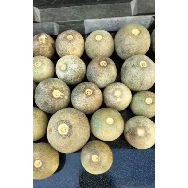 𝐂𝐚𝐤 𝐃𝐞𝐞𝐩🚴‍♂️ tweet media