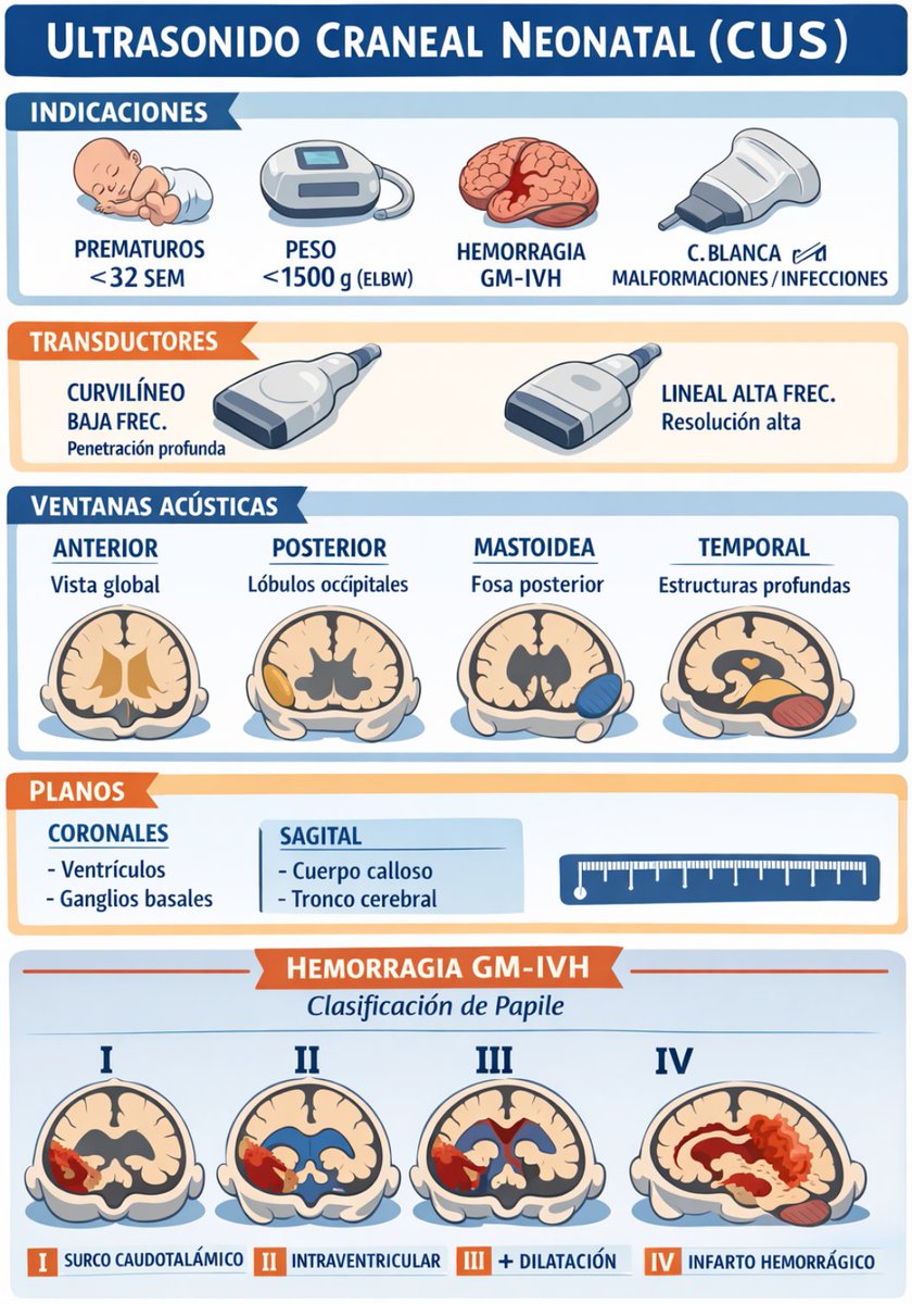 Hassler S. Macías-Sánchez tweet media