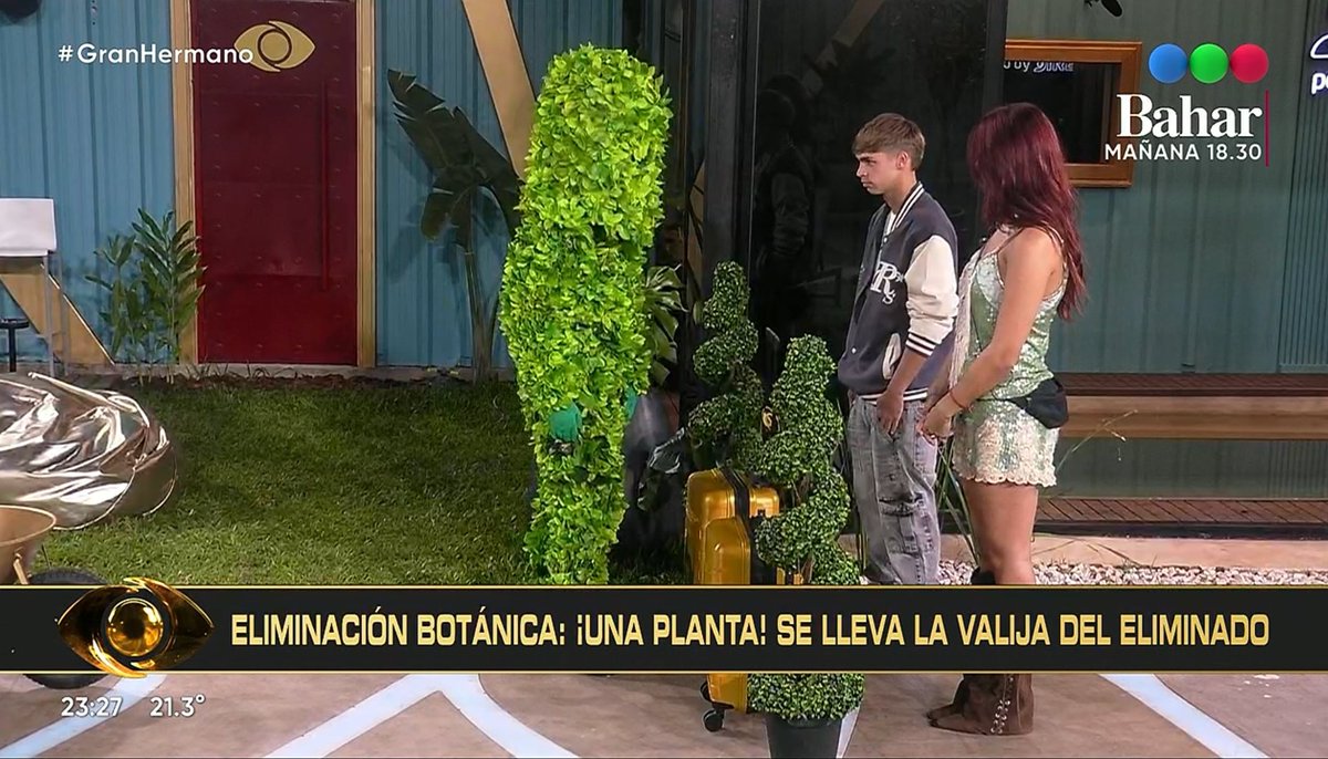 Alexis #GranHermano 👁 tweet media