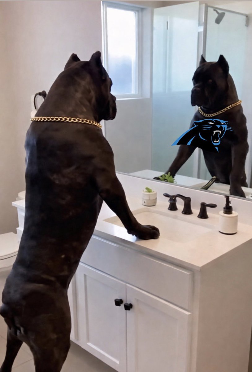 Michael Bell tweet media