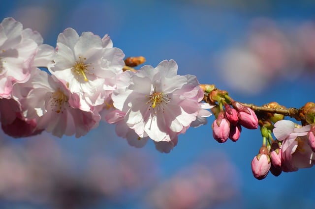 Brooke Pehrson tweet media