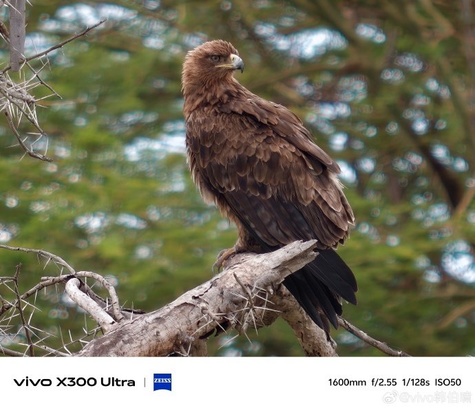 Johnny Manuel tweet media