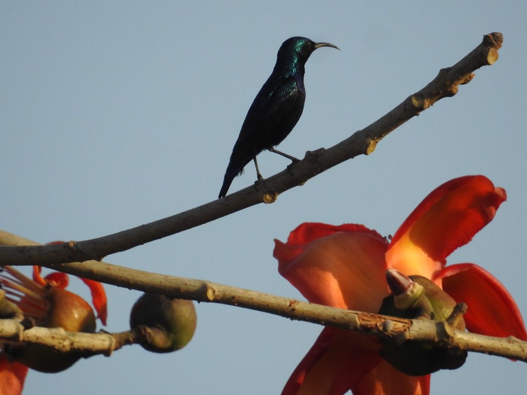 Neha Sinha tweet media