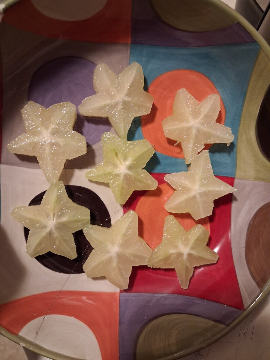 Doodle 🍮🫐 SLIME-Tuber tweet media