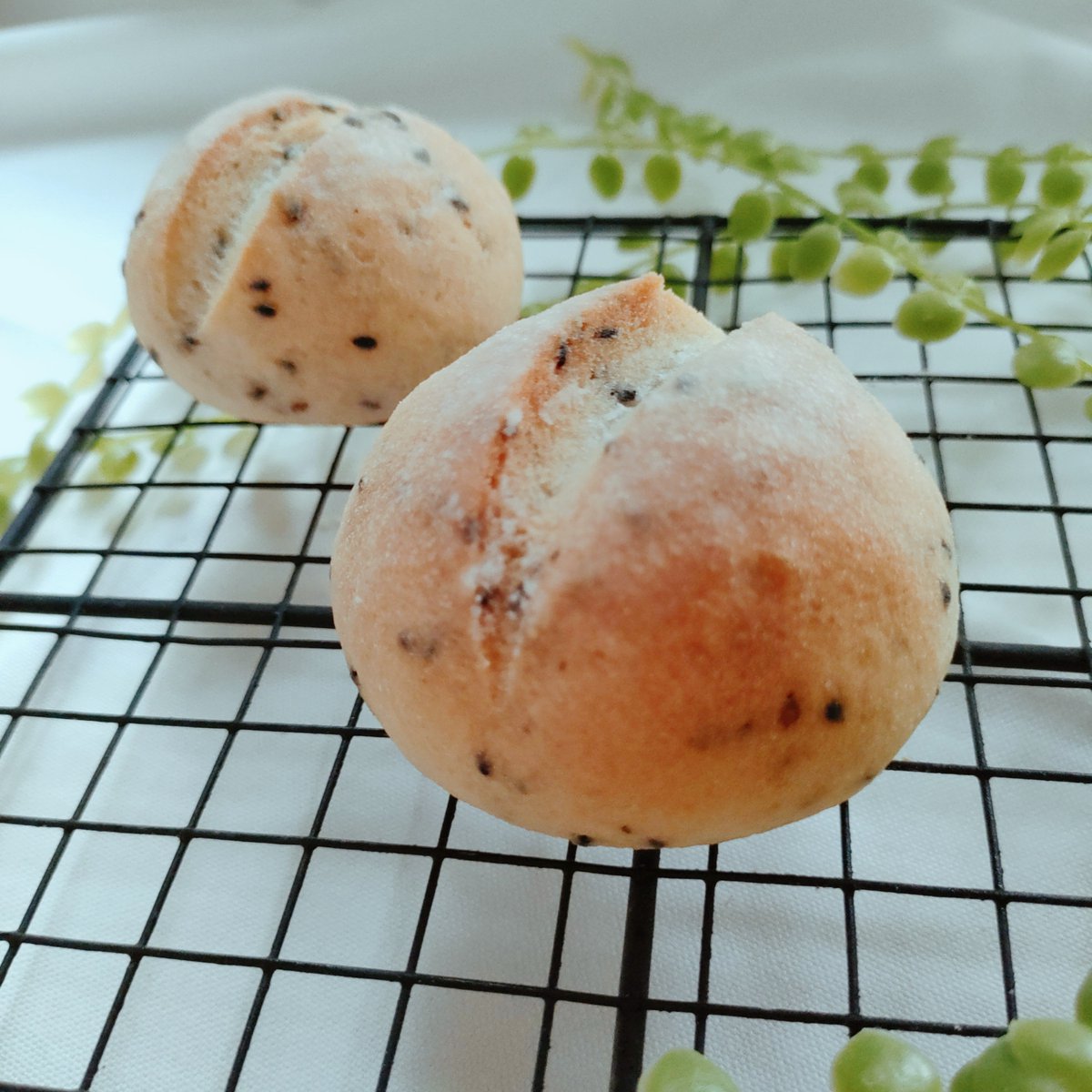 健康パンの専門家めぐりぱん🥐 tweet media