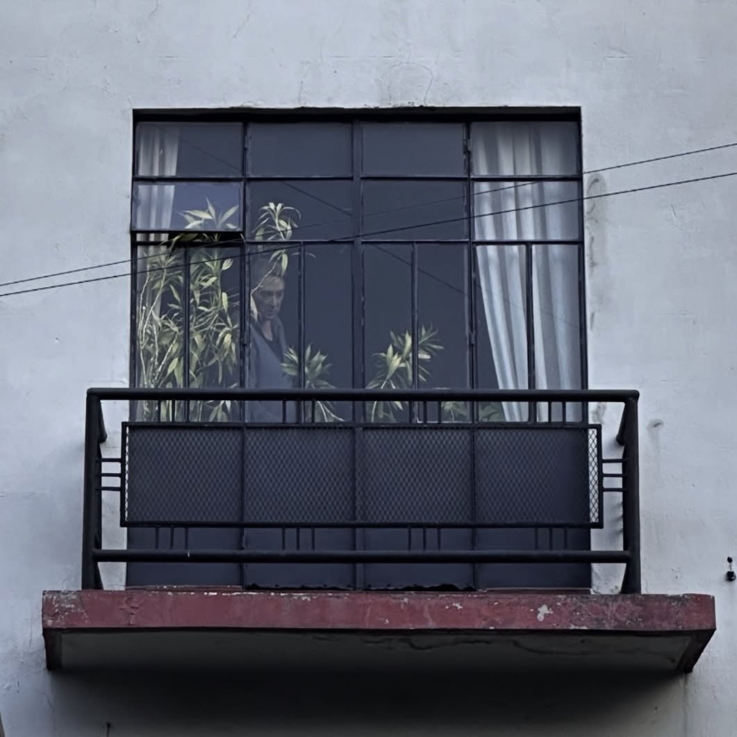 Sofia Elena Ibarra tweet media