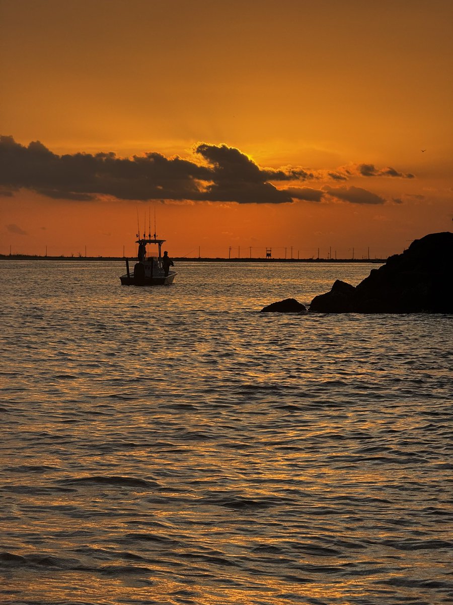 Coffee and Grit tweet media