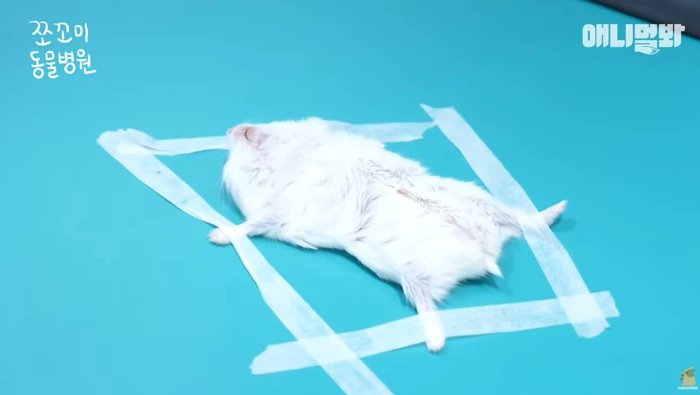 구건일 건강검진