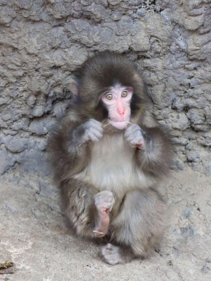 Most beautiful pic of the year 🫶