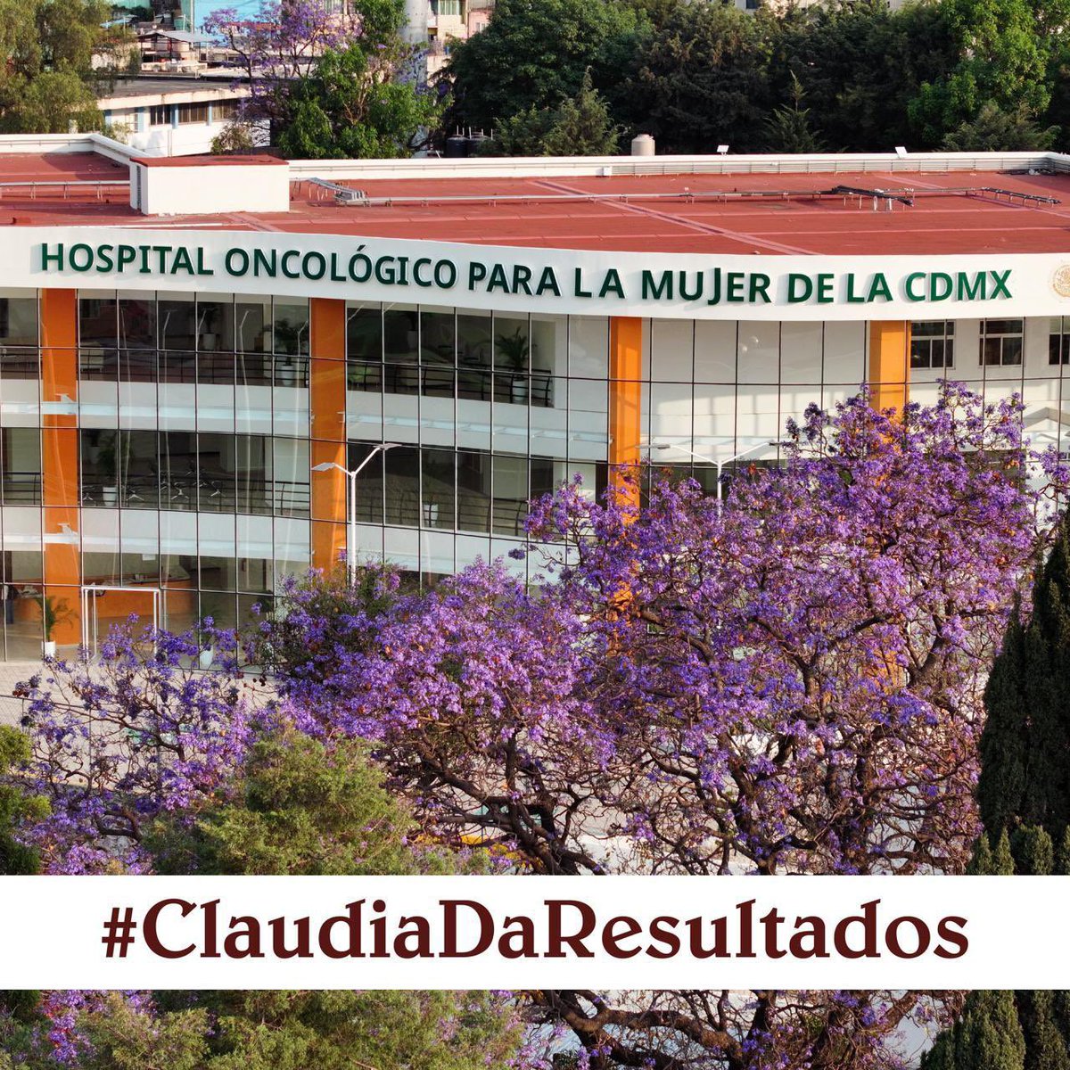 Luis Alfonso Silva Romo tweet media