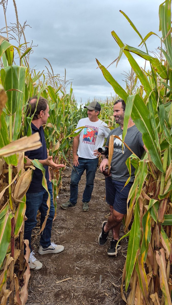 Viento Sur tweet media