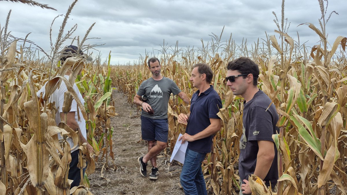 Viento Sur tweet media