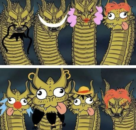 One Piece Daily tweet media