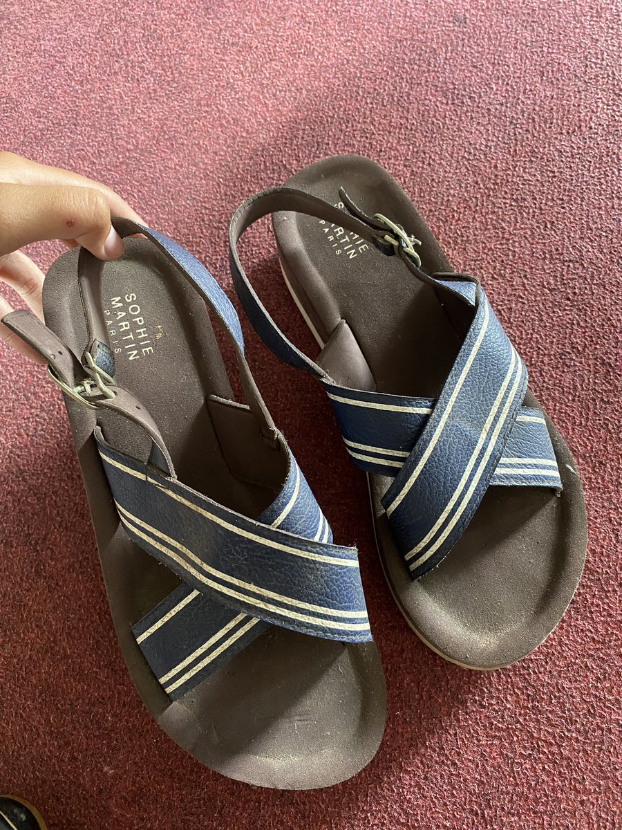 🐚🍄 tweet media