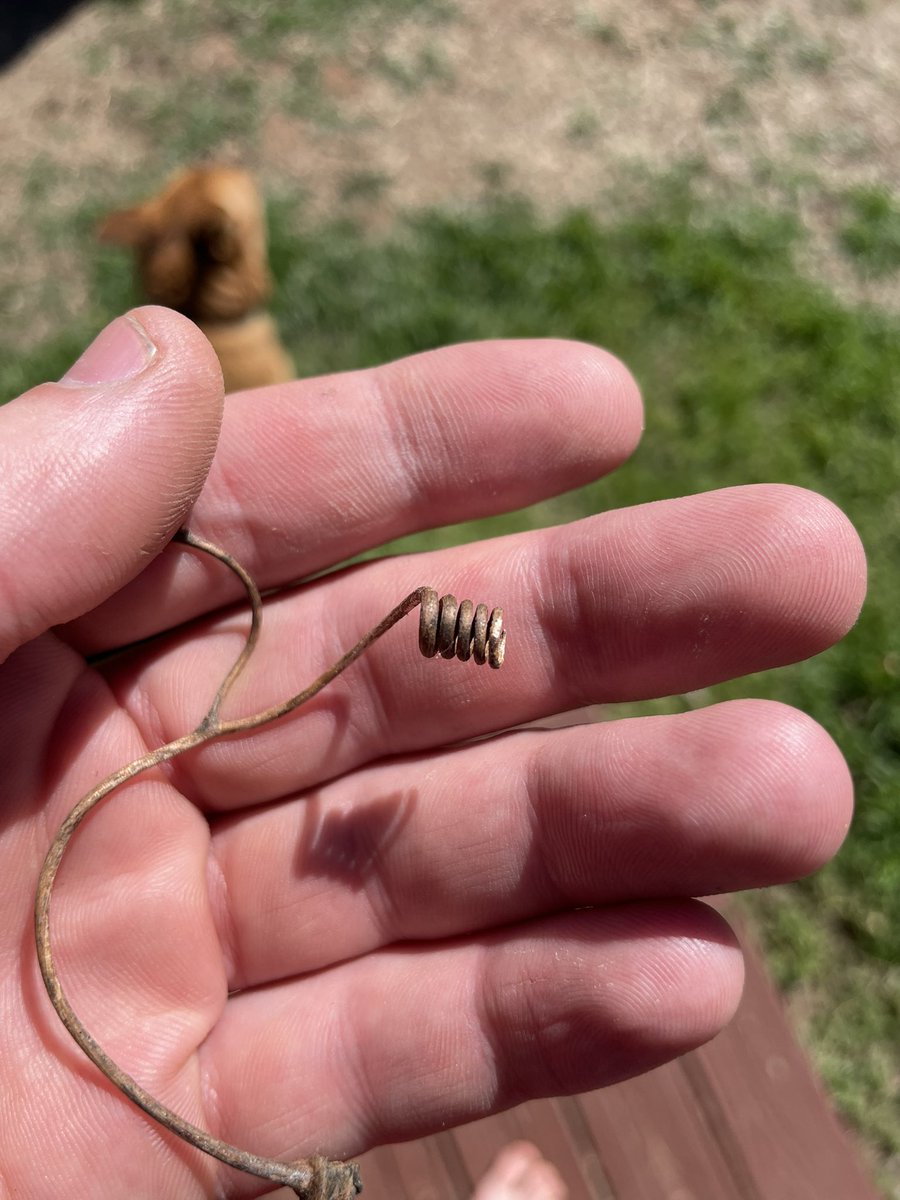 Chief Dinger tweet media