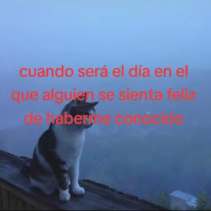 inkjkv's tweet photo. https://t.co/kxvflO3BXn
