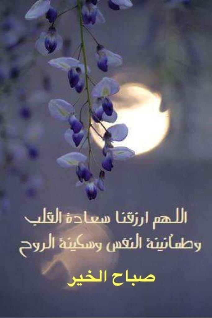 ‏ورد السبيعي tweet media