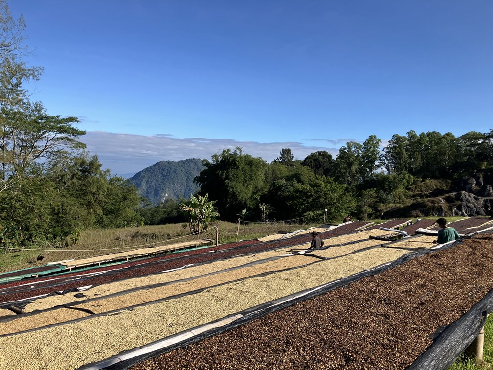 ケア・インターナショナル ジャパン tweet media