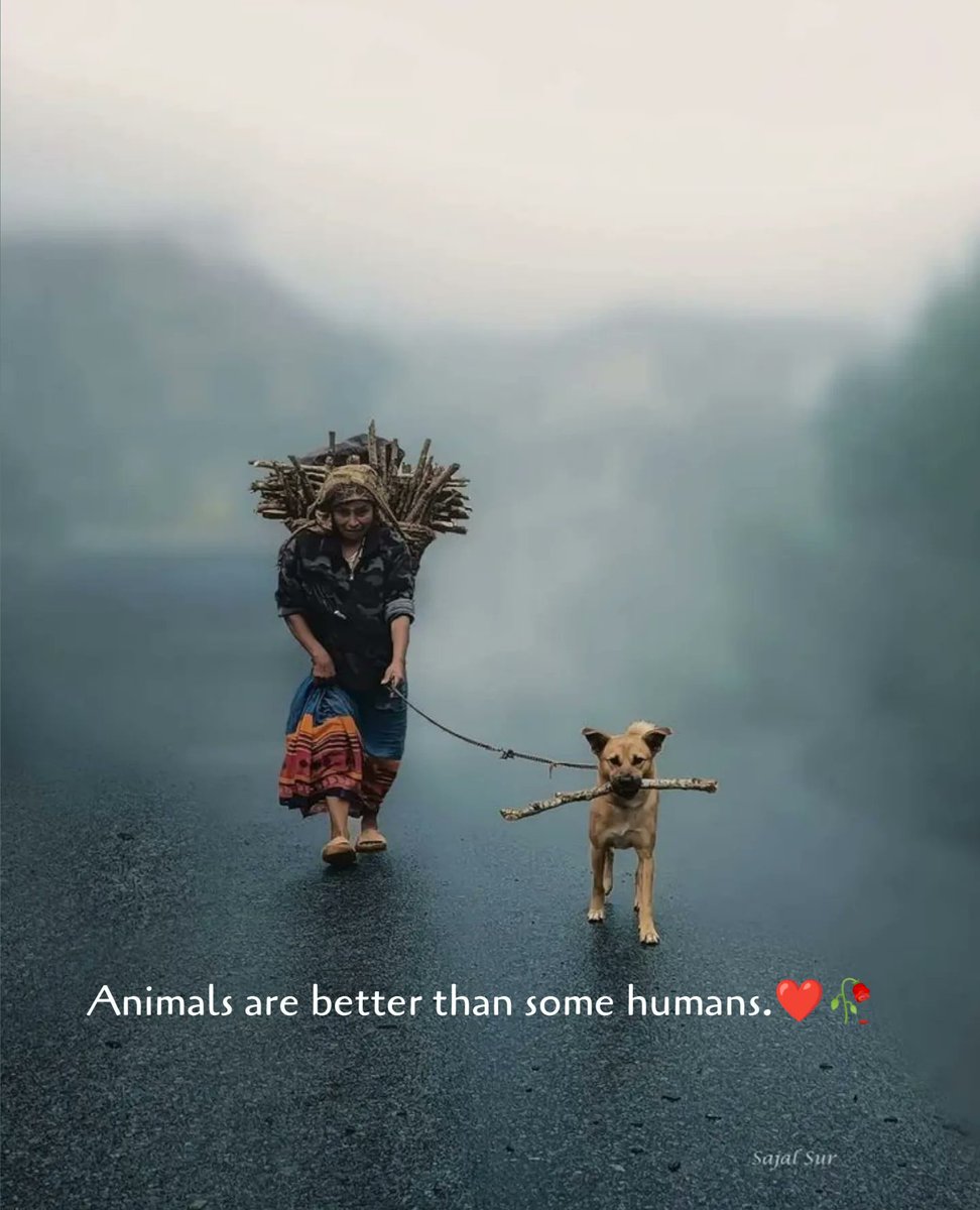 Mind Essentials tweet media