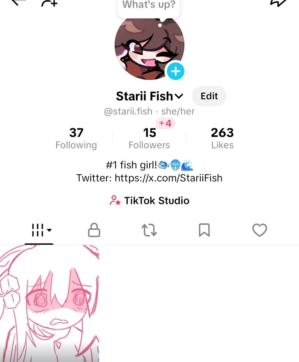 Starii.Fish tweet media