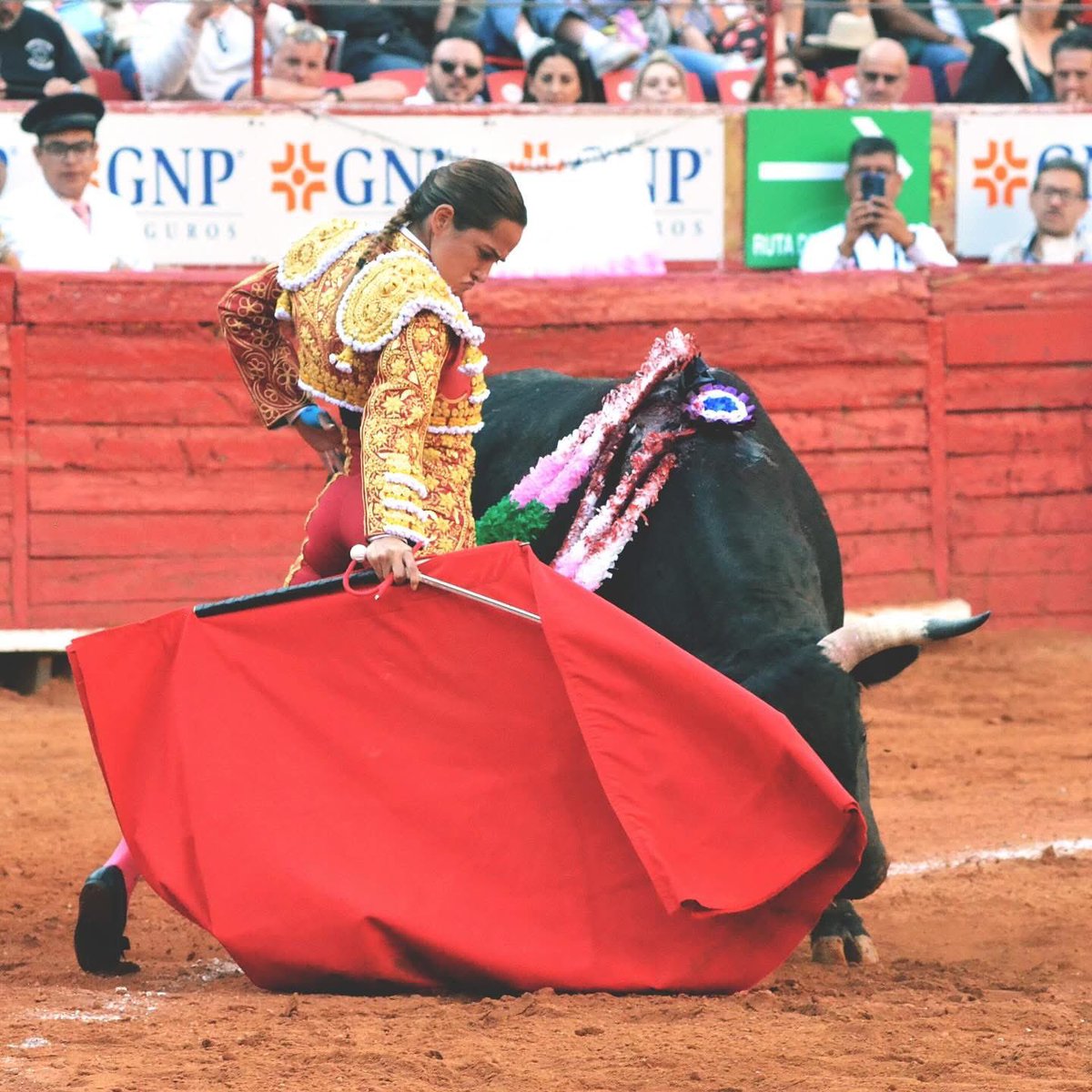 Aprendamos de Toros tweet media