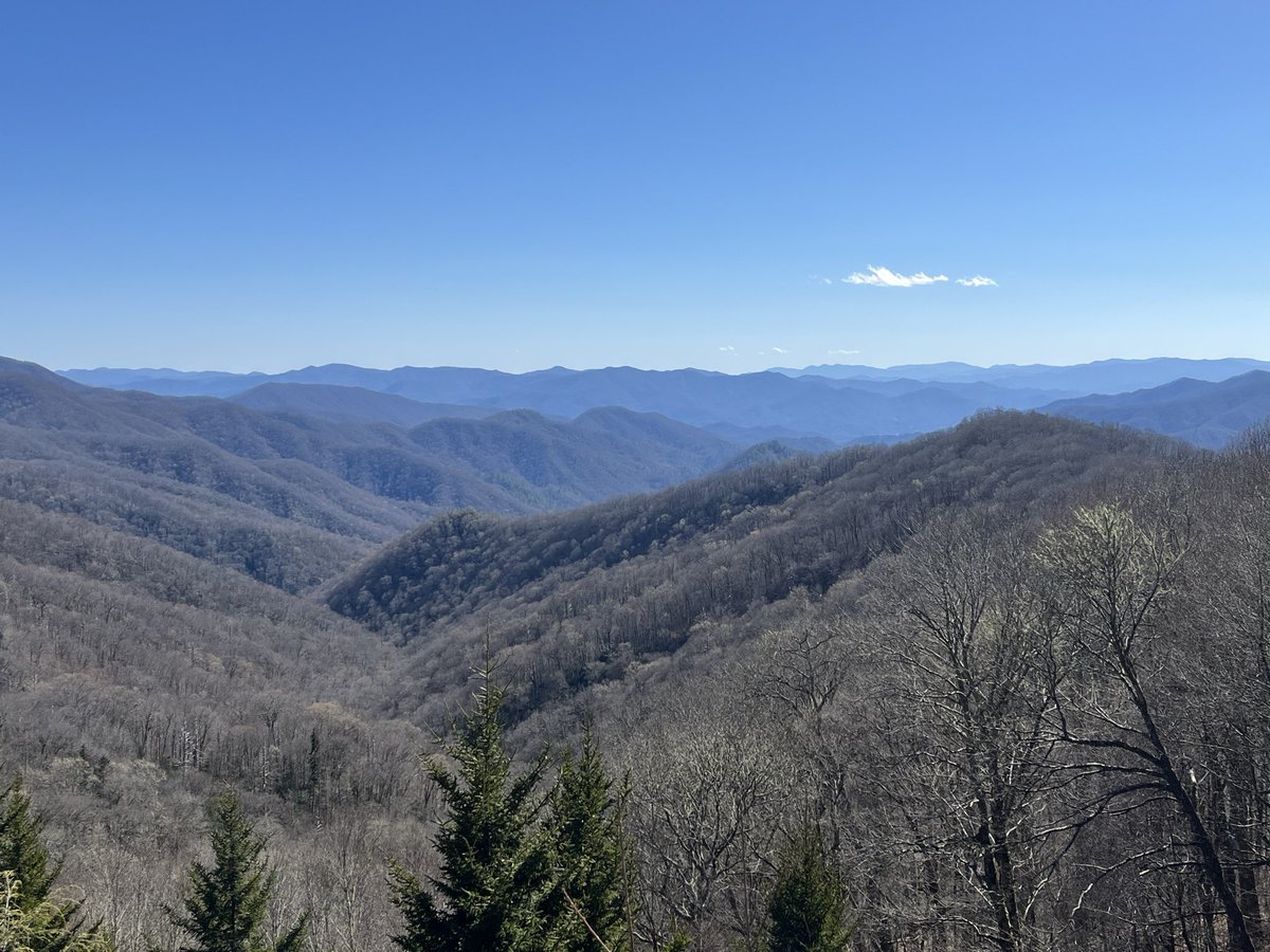 imogene the sunbringer 🌞 tweet media