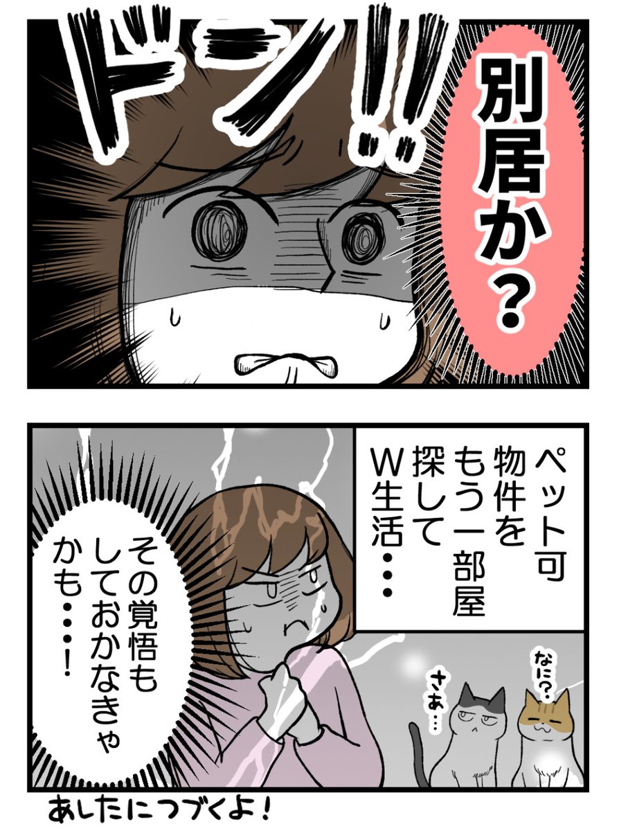 (2/2)猫を迎えてしばらくしたら夫に異変が起きた話【2】続きは明日投稿します! 