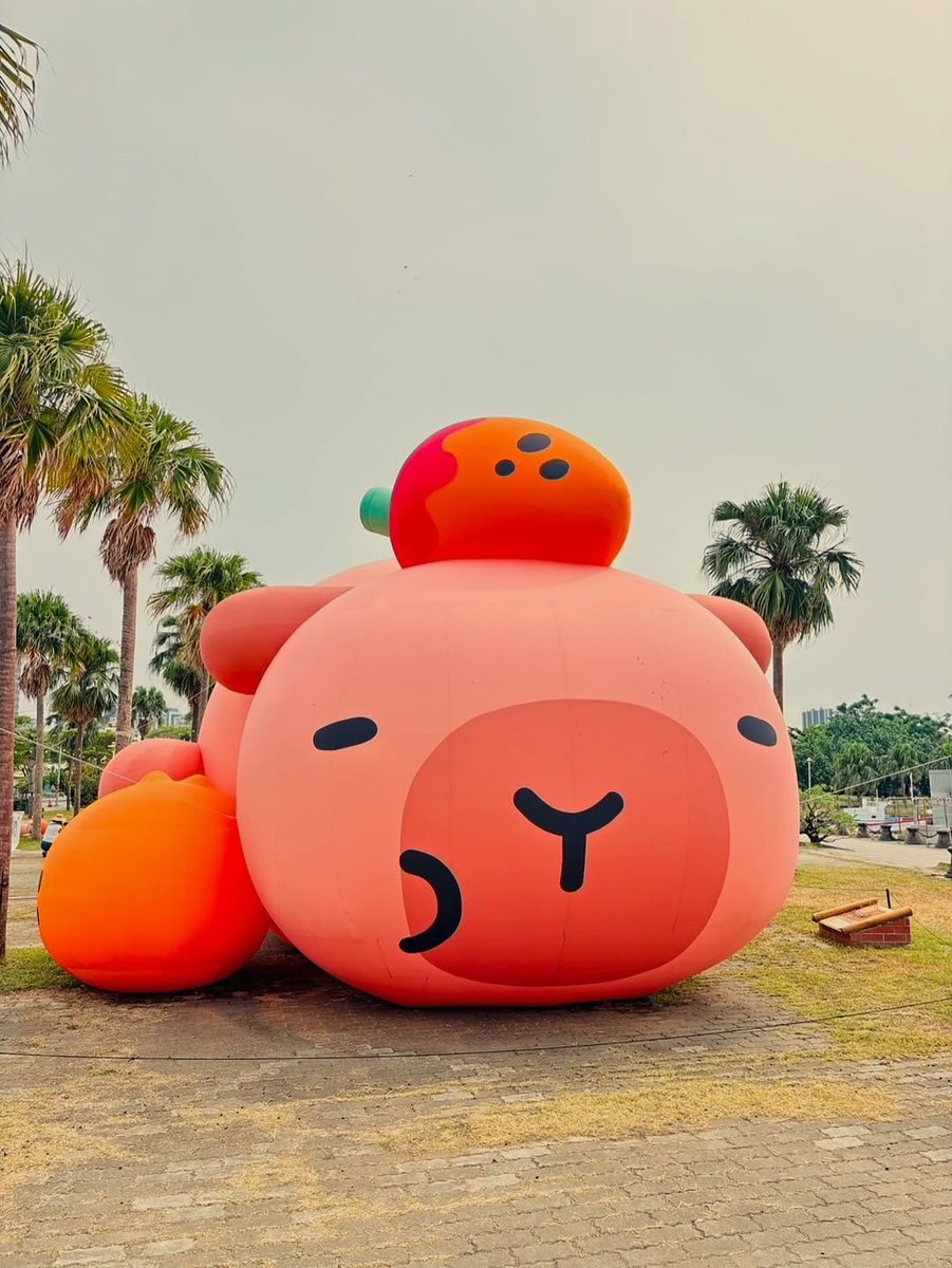 juddykiller's tweet photo. shengjian bunsnever disappoints，尤其是这种endlessly satisfying的口感。🚵 https://t.co/EWcqeIUlM6