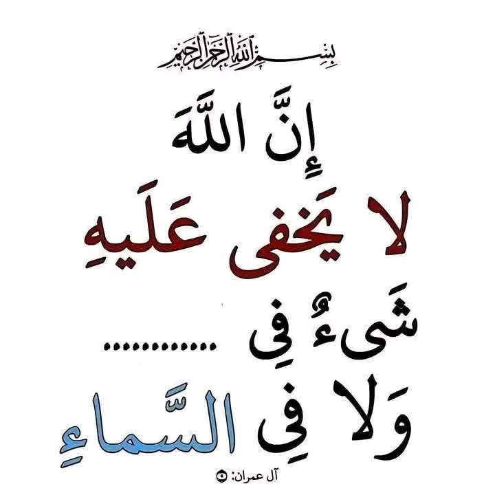 Nahed Hussien 👩‍👩‍👦‍👦 tweet media