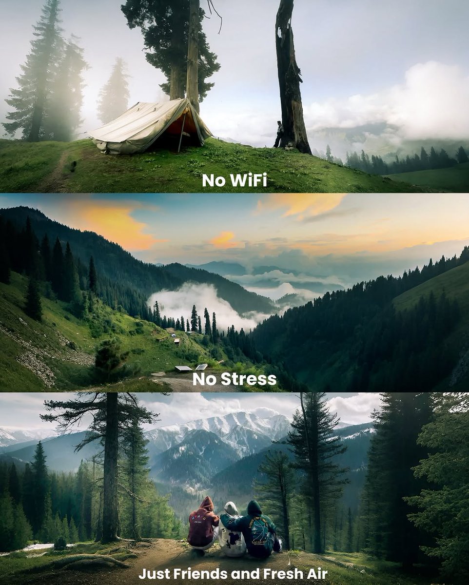 Mind Essentials tweet media