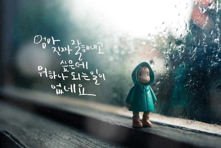 어햄이 tweet media